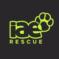 IAE (@ongiae) 's Twitter Profile
