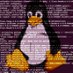 Linux Security News (@linuxsec) Twitter profile photo Linux Security News (@linuxsec) Twitter profile photo