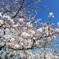 ゆうせい (@yusei_0703) 's Twitter Profile