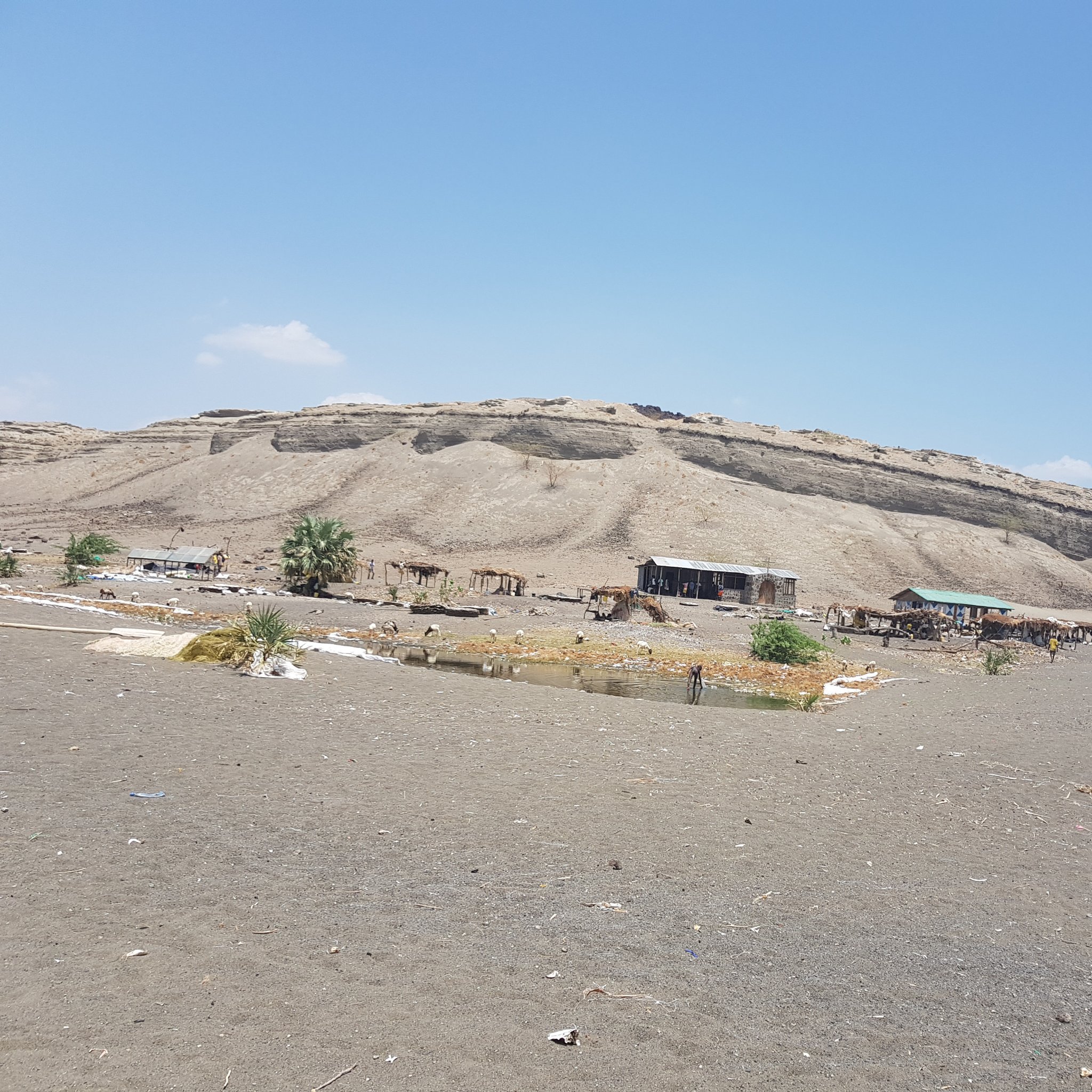 FisheriesG's profile picture. Lake Turkana Fisheries