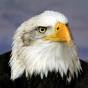 Barry Weaver - @bcweaver - Twitter