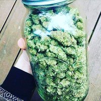 Weed Paris🇫🇷👌 (@eabsone) 's Twitter Profile