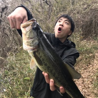 XL6JMaTjiXgNKol's profile picture. 市原緑 釣り垢