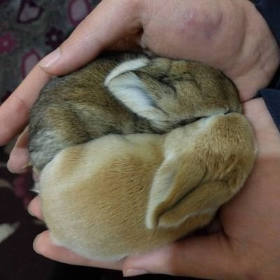 sh28907541's profile picture. 