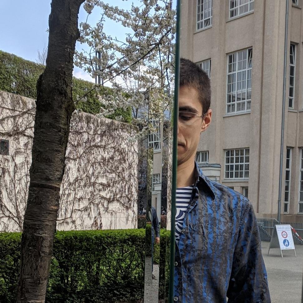 andamanatee's profile picture. UCSB math asst prof. 🏳️‍🌈🧗‍♂️🎷, but here mostly for 🥑🚇 and dumb puns