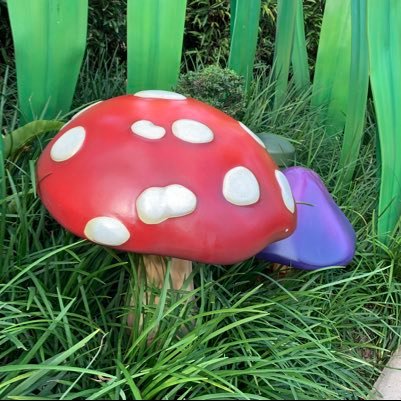 aroonvongeiso1's profile picture. Sunshine 🌞