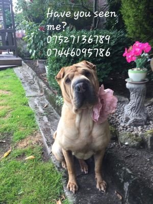 helpfindnala Profile