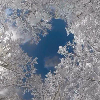 eleChLu's profile picture. 東海オンエア🦆youtubeオタ活中心の日常垢🤎🤎虫推し🤎🤎💚💚としみつ推し💚💚歌とアコーディオンの姉妹ユニット🪗チャラン・ポ・ランタン🎵小春さんのファン☺️☺️☺️