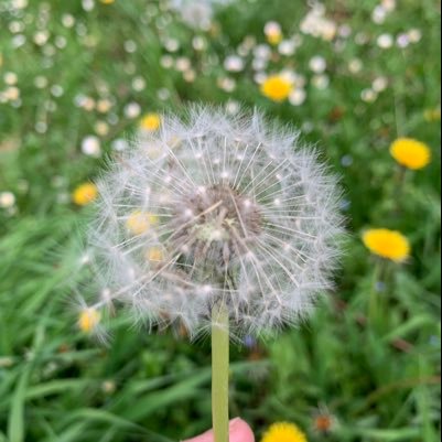 stin07862580's profile picture. 