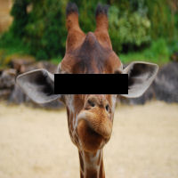 What am I?