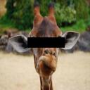 James Monteith - @Blind_Monty - Twitter