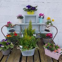 Big Tree Nurseries & Crafts (@nurseriesbig) 's Twitter Profile Photo Big Tree Nurseries & Crafts (@nurseriesbig) 's Twitter Profile Photo