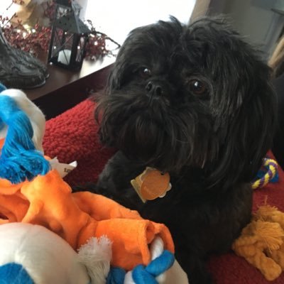 Bos_Biz_Print's profile picture. Boston Business Printing specializes in fast turnaround on the most complex digital and printing jobs.