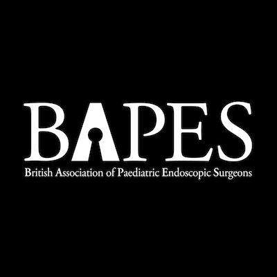 BAPES Profile