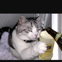 🐈JUN🍺IIMURA🐈 (@mugi_nekonuko) 's Twitter Profile