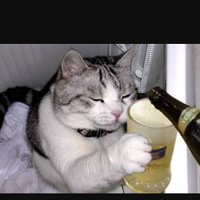 🐈JUN🍺IIMURA🐈(@mugi_nekonuko) 's Twitter Profile Photo