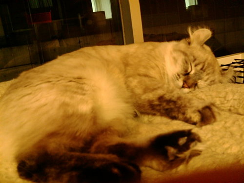 re5278's profile picture. 歌って踊る人とコーヒーが好きです。