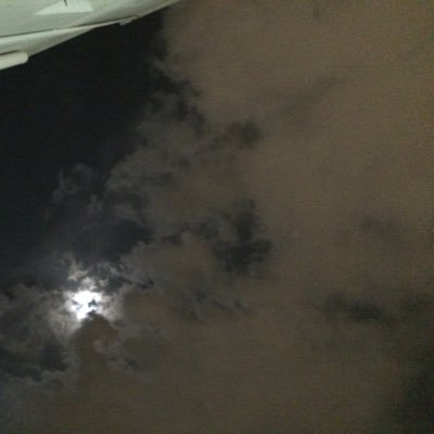3_n_o_o_d_3's profile picture.