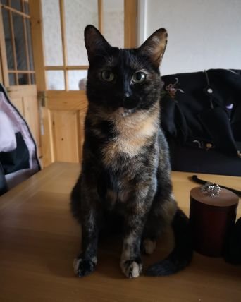 imaboozybum's profile picture. 