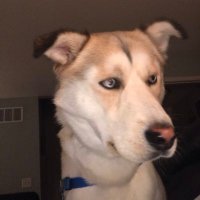 Mr. Price (@bioprofessor14) 's Twitter Profile Photo Mr. Price (@bioprofessor14) 's Twitter Profile Photo