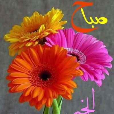 mhamed00106058's profile picture. My name is Mohammed, I live in Iraq, working director junior high, I'm 44 years old, interested in women and men, love to travel