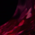 WYNE (@wynemusic) Twitter profile photo WYNE (@wynemusic) Twitter profile photo