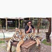manish kumar (@goyalmanishg277) 's Twitter Profile