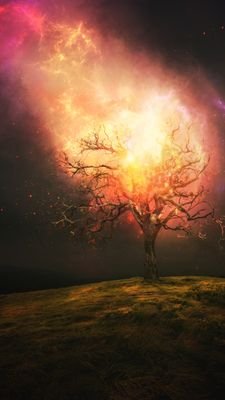 RosineideVieir7's profile picture. A minha fe em deus