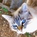 Sylvie 🇫🇷🎗️🐈⬛ (@zesylv) Twitter profile photo Sylvie 🇫🇷🎗️🐈⬛ (@zesylv) Twitter profile photo