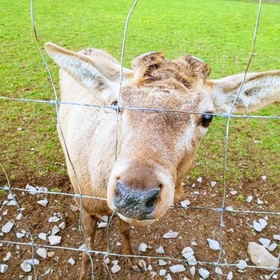 mitropanos1's profile picture. 