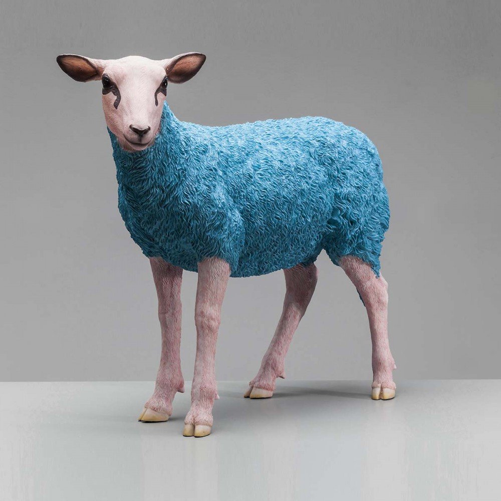 Τυρκουάζ Προβατο