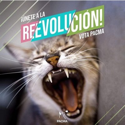 verazarules's profile picture. Liberté✨✨