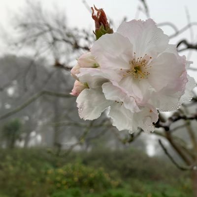 essiesf17's profile picture. 