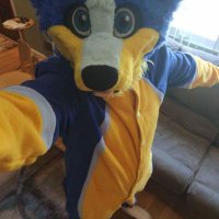 Hachi-fox(FCL,FWA) (@hachi_fox11) 's Twitter Profile