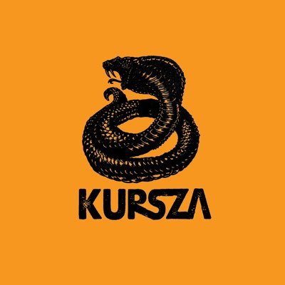 KURSZA is a team of visual counterparts for musicians, festivals and brands 🐍 📍 Based everywhere.