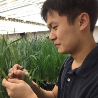 Andy Chen (@andychen_wheat) 's Twitter Profile
