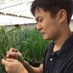 Andy Chen (@andychen_wheat) Twitter profile photo Andy Chen (@andychen_wheat) Twitter profile photo
