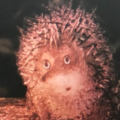 robaco_goma's profile picture. 一人目妊活／ぼやきと記録がわりのツイート／40歳／夫over40／在宅がちフリーランス／IVF7回／AIH6回／🧚‍♀️見たことない／転院2回（現在3院め）／多発性筋腫→切除👍／遺伝性高血圧／夫婦で介護（要介2&5）