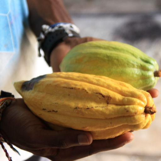 Kembou_'s profile picture. Agribusiness Coach.
CEO of African Supply Chain Heroes & The Farming Agency