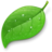 CodaIcon's profile image