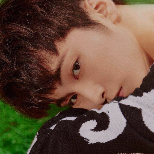 99MOARK's profile picture. ( once upon a time, he was a fox — now, he's exploring humanity and all it offers ;