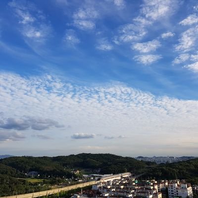 잘생긴 사람보다 재미있는 사람에게 더 호감을 느낀다고 생각하고 있으며 일상의 작은 부분에서도 행복을 찾으려고 노력하는...