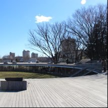 KzlWG1JXo0Q5XSR's profile picture. 