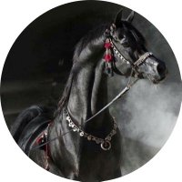 المُهرة الفاتنة (@alfatina222) 's Twitter Profile Photo