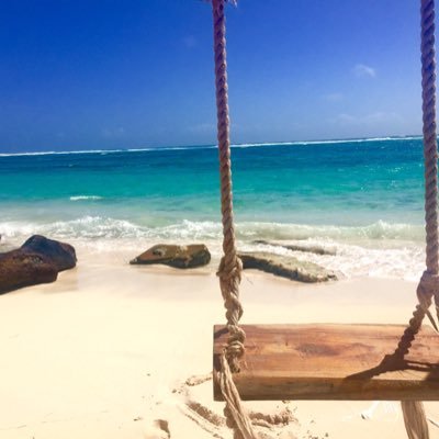 SliviaOlivia's profile picture. 