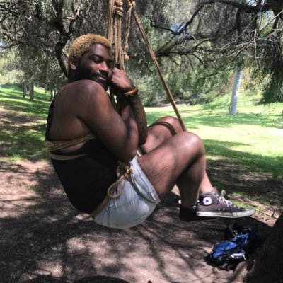 wholian1's profile picture. if it's not fun, why do it? dey/dem __________