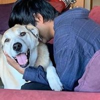 Kaushik Roy (@kaushikunal) 's Twitter Profile