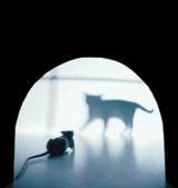 benchwebbing's profile picture. I'm a web passionate, interested in getting fresh info about the e-business world