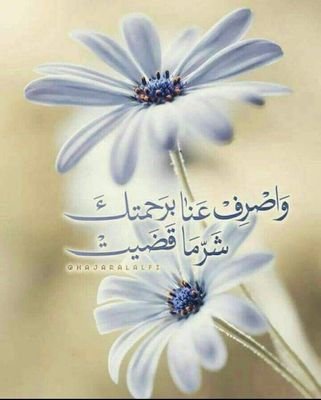 OptimistoSky's profile picture. 