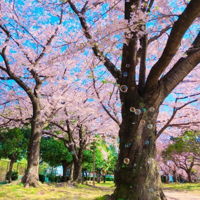 オタク。日常・愚痴垢になりつつある。 成人済み大学生。